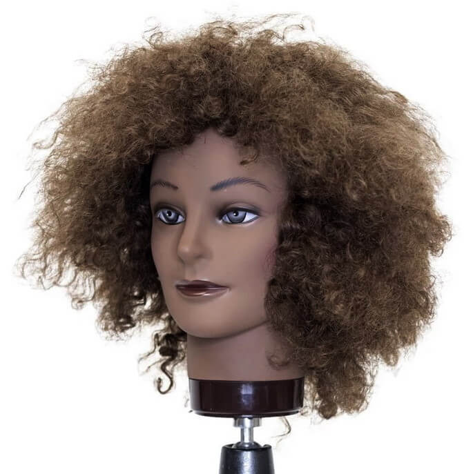 Afro Mannequin Head Curly Hair 100% African American Human