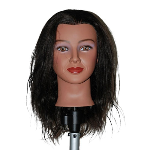 Celebrity 21 Ethnic Cosmetology Mannequin Head 100% Human Hair, Black -  Whitney