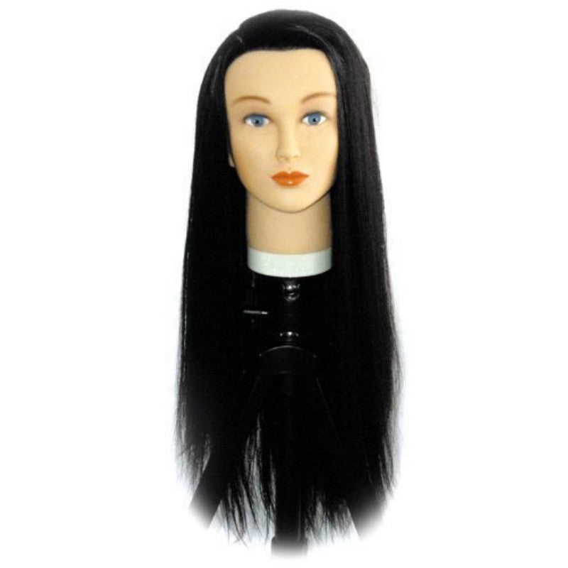 Amazon.com : Long Hair Cosmetology Mannequin Head with 60% Real Hair  Hairdresser Practice Training Head Make Up Cosmetology Manikin Doll Head  For Hair Styling With Clamp Holder : Beauty & Personal Care